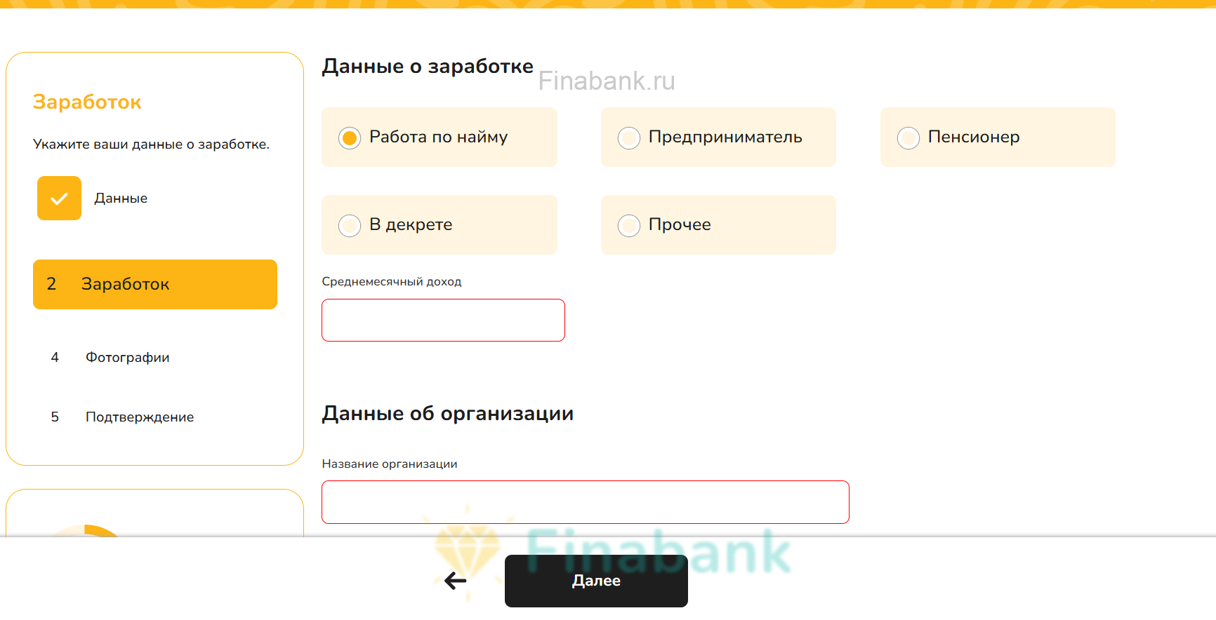 Заполните данные о заработке Bunny Money 4